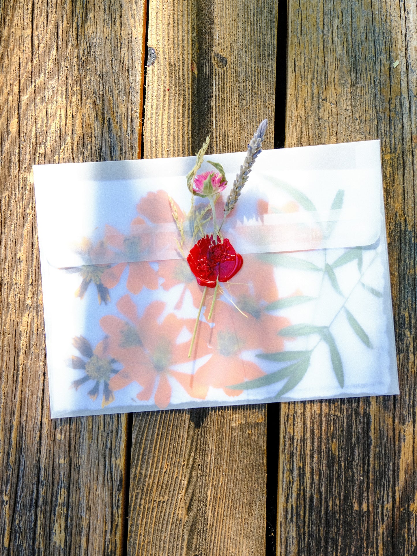 Garden Pressed Flowers