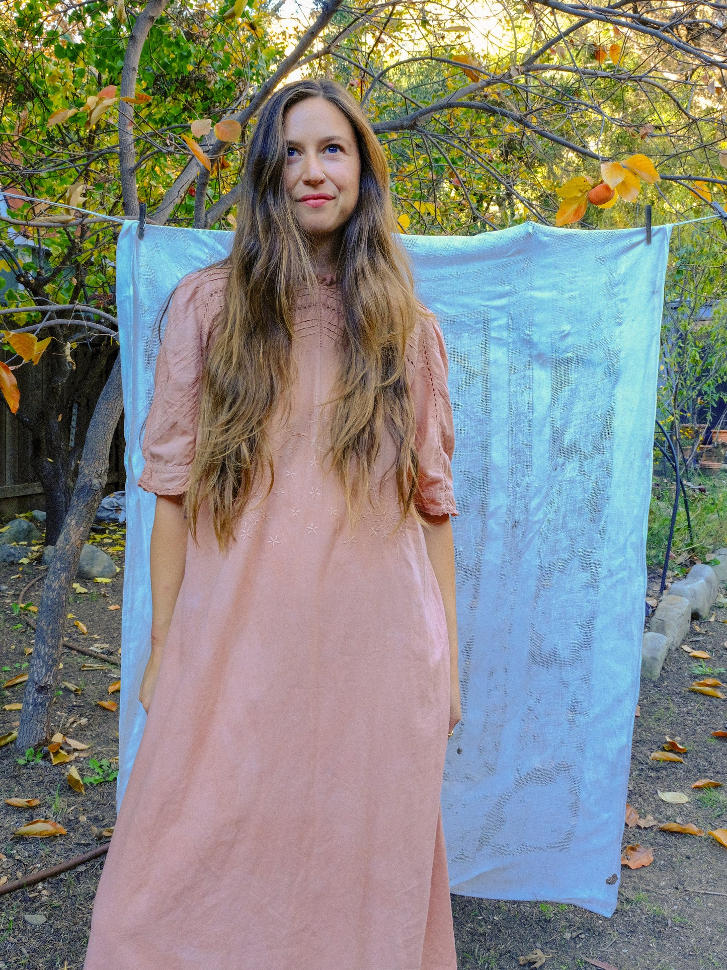 Cutch Pleated Embroidered Yoke Dress