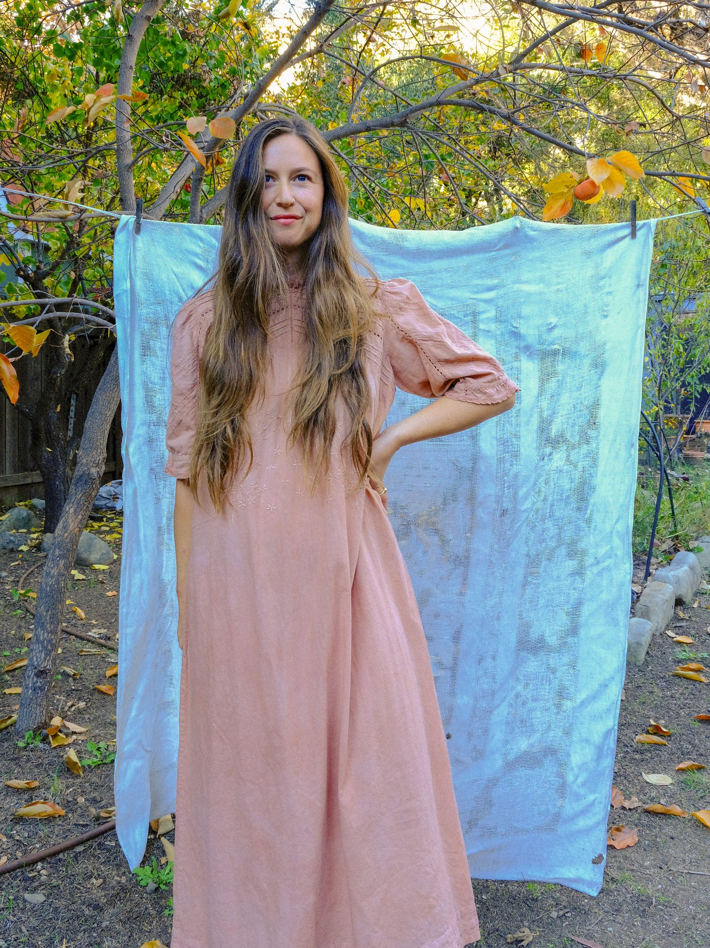 Cutch Pleated Embroidered Yoke Dress