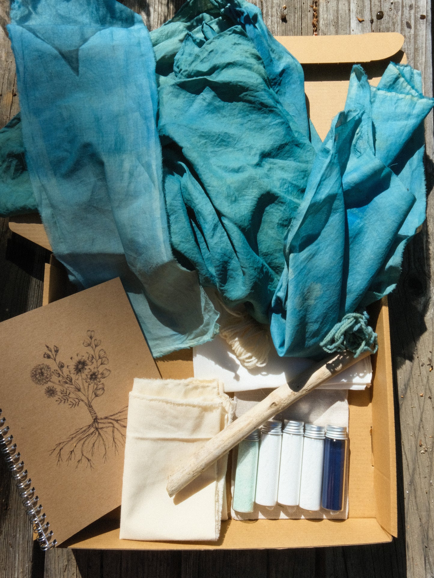 Plant Rainbow Subscription Club