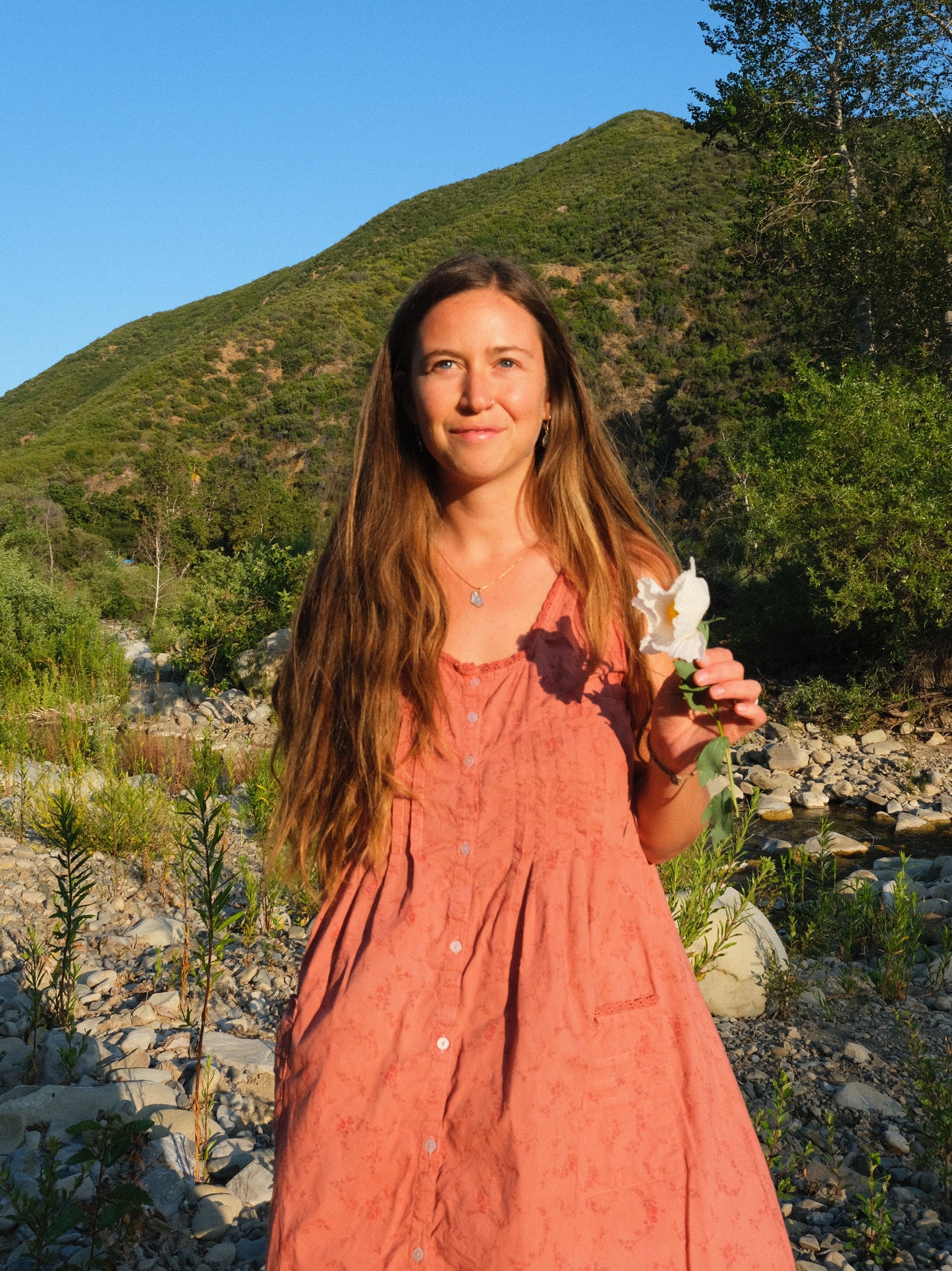 Madder Ditsy Floral Pleated Dress