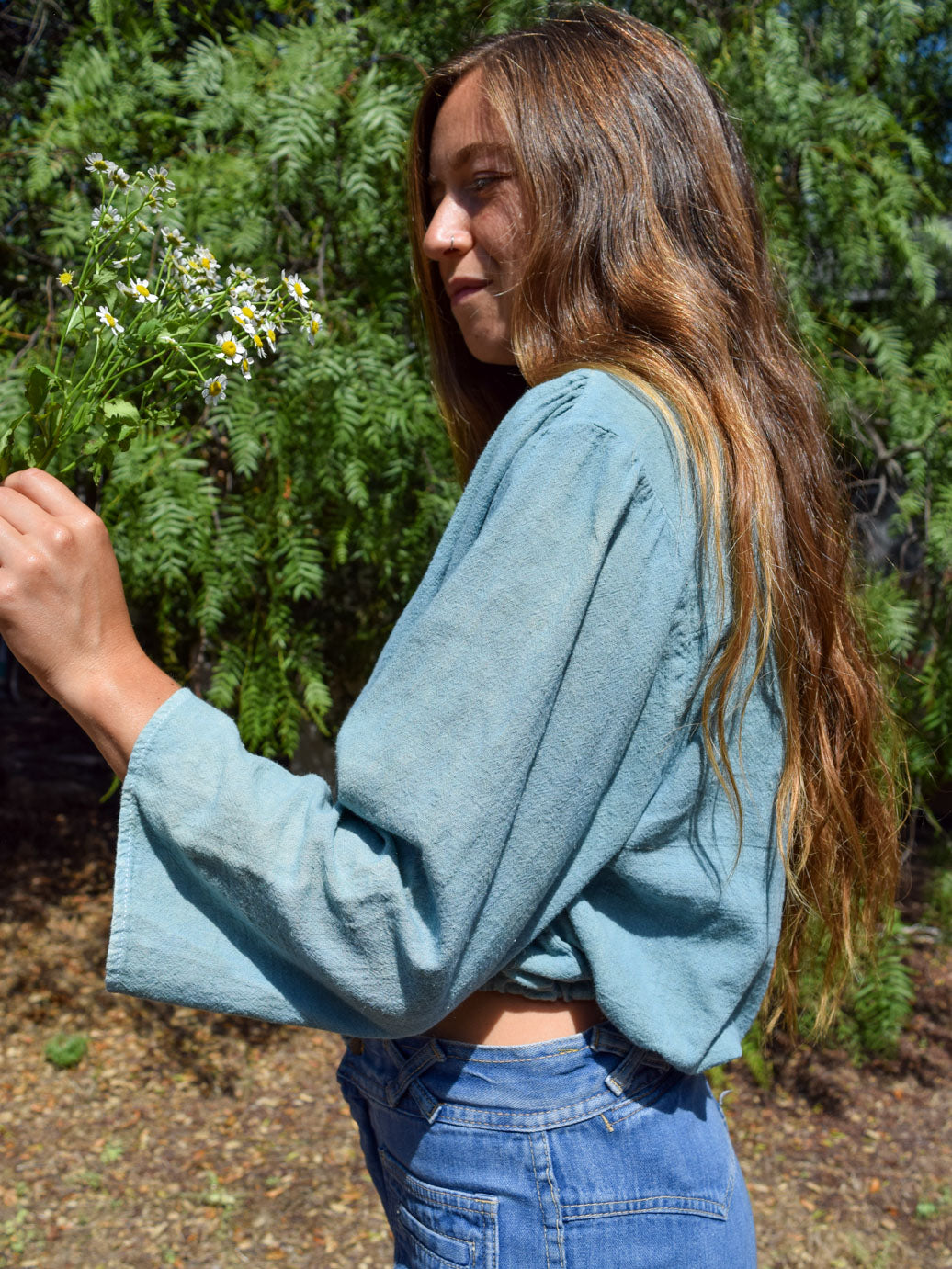 Indigo Super Soft Cotton Crop