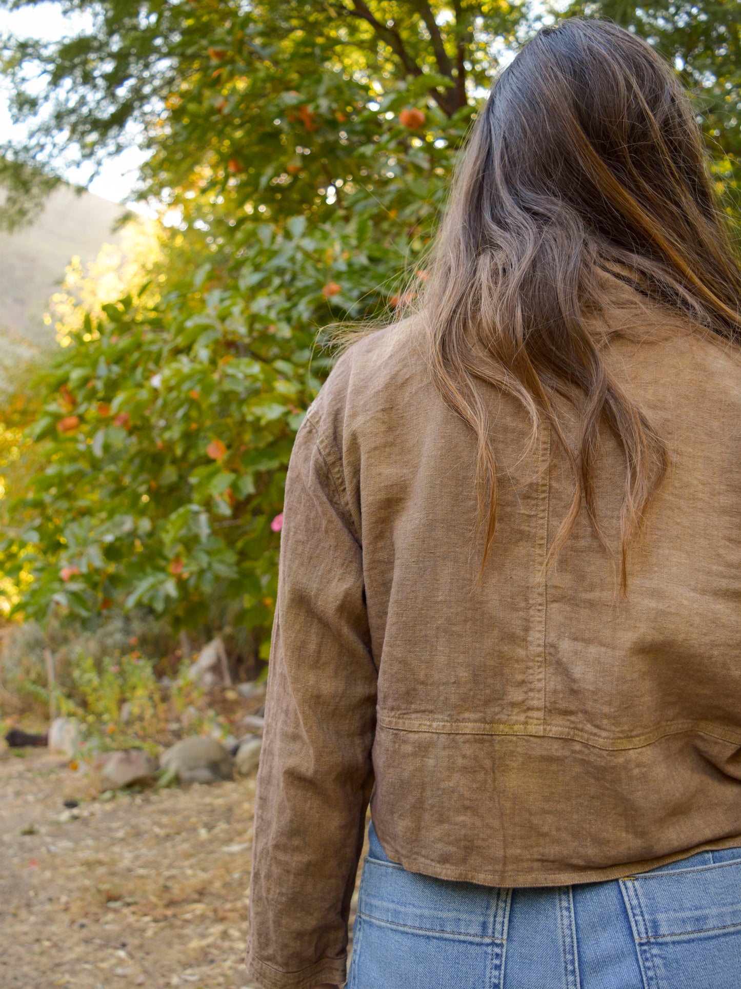 Pomegrante & Iron Linen Cropped Blouse