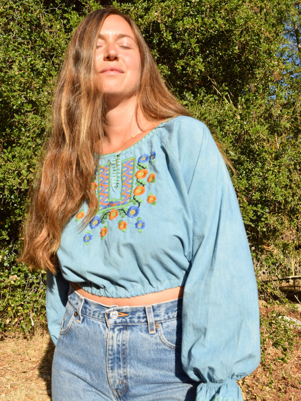 Indigo Embroidered Cropped blouse