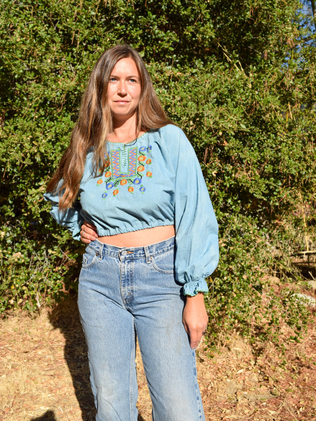 Indigo Embroidered Cropped blouse