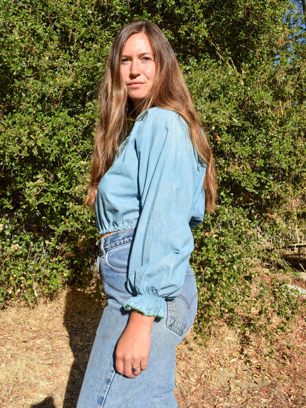 Indigo Embroidered Cropped blouse