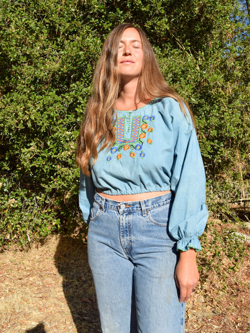 Indigo Embroidered Cropped blouse