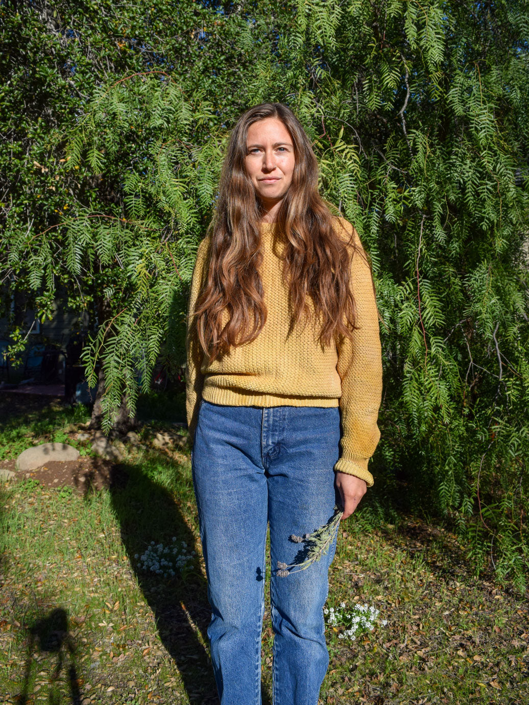 Marigold Cotton Knit Sweater