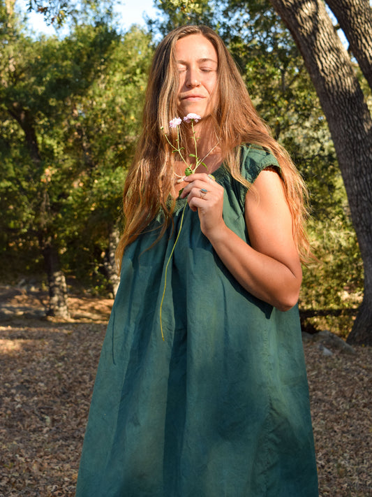 Indigo & Marigold Cap Sleeve Dress