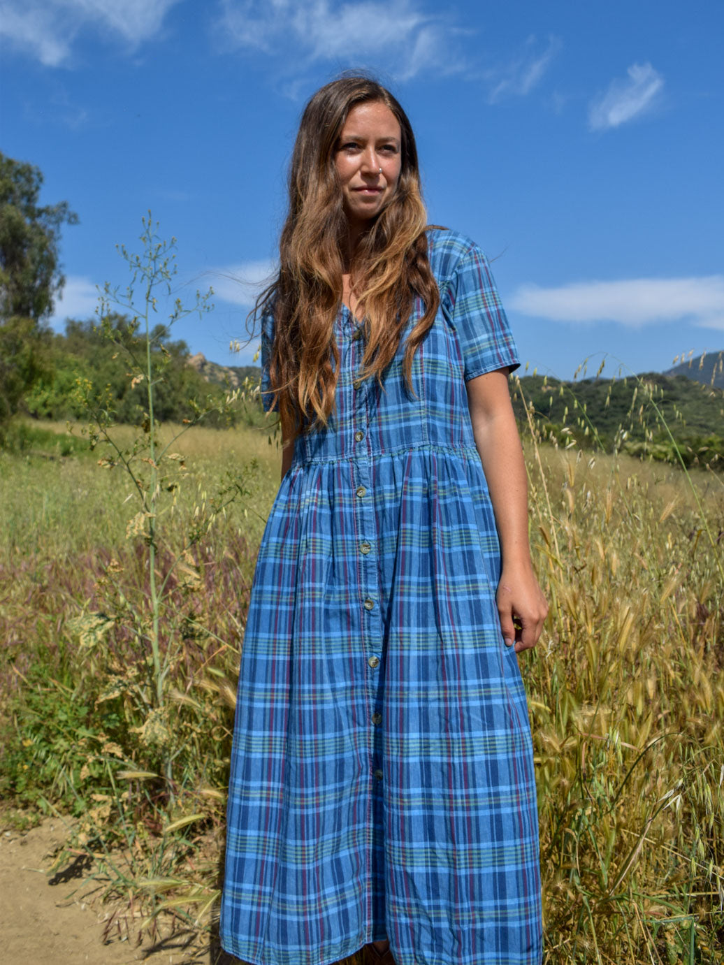 Indigo Plaid Farmer's Dress