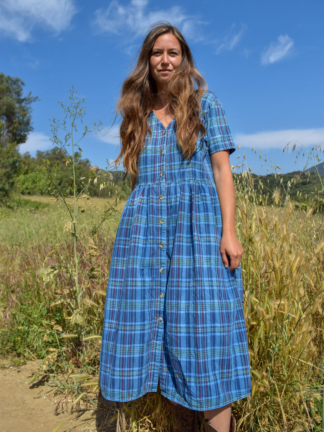 Indigo Plaid Farmer's Dress