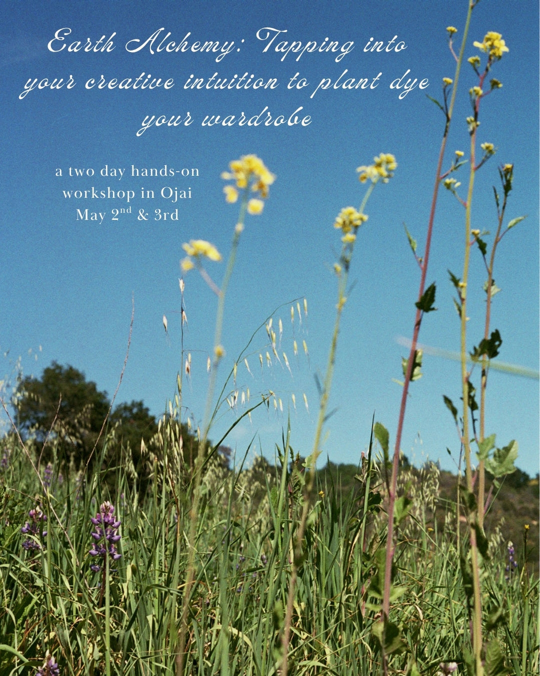 Earth Alchemy: tapping into your creative intuition to plant dye your wardrobe