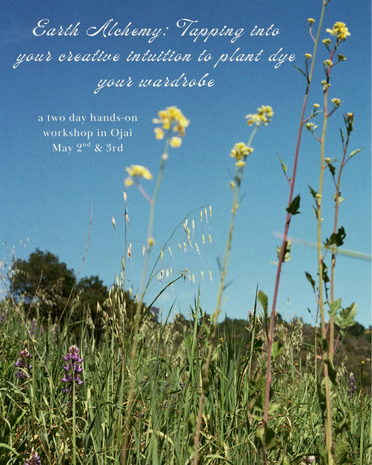 Earth Alchemy: tapping into your creative intuition to plant dye your wardrobe