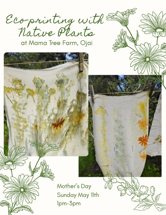 Eco-Printing with Native Plants