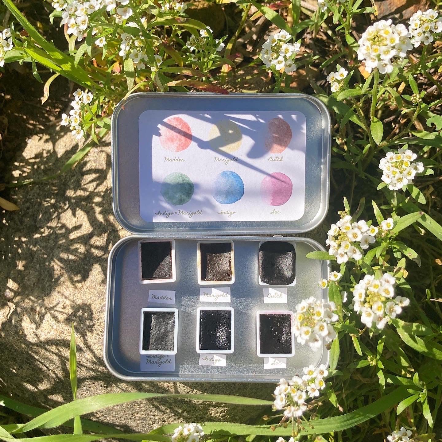 From Plant to Paint: A Conscious Approach to Creativity