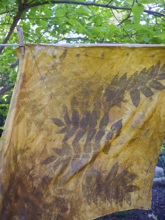Marigold Dyed Eco-printed Silk Scarf