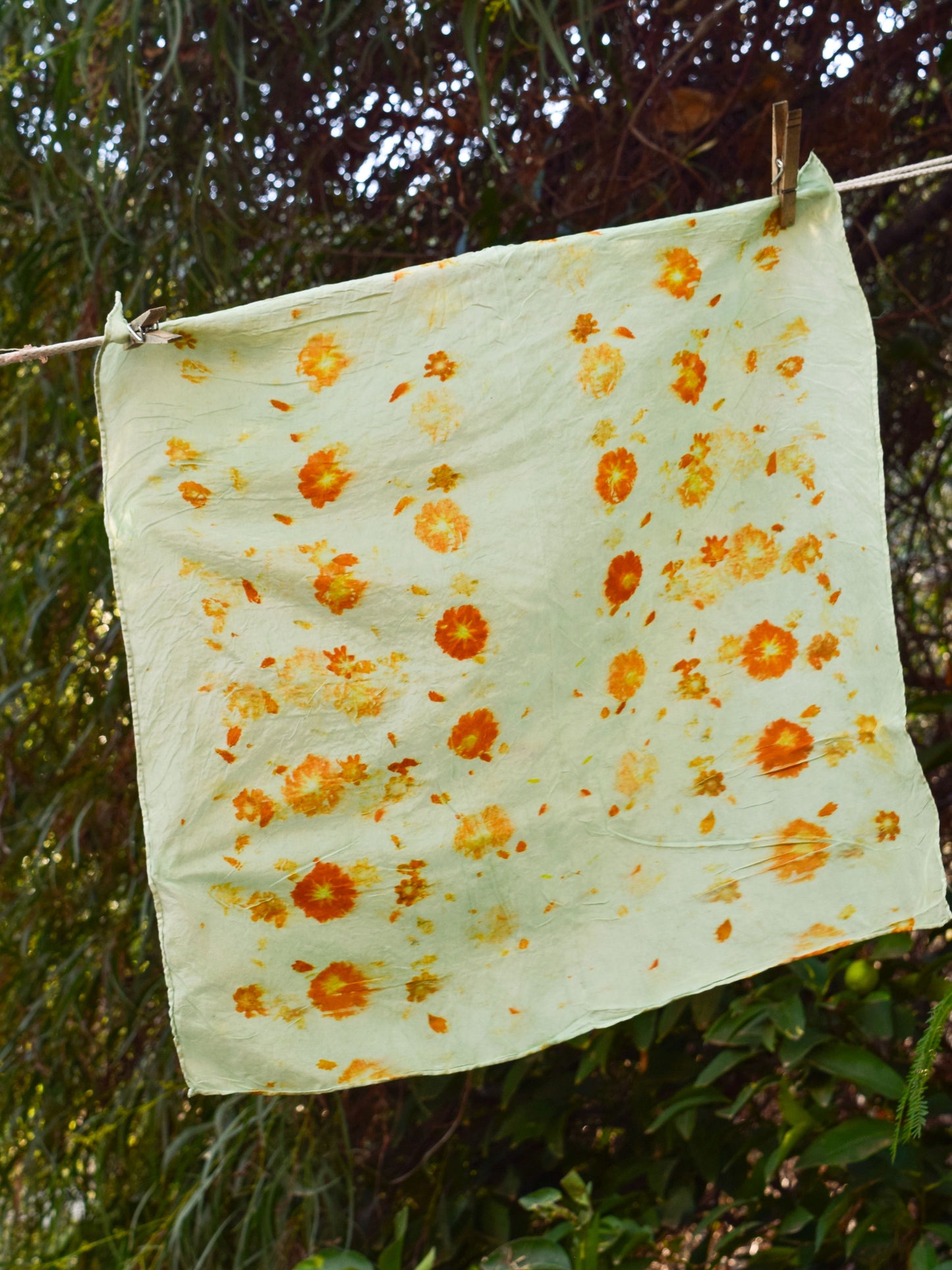 Chlorophyllin Eco-printed Silk Scarf