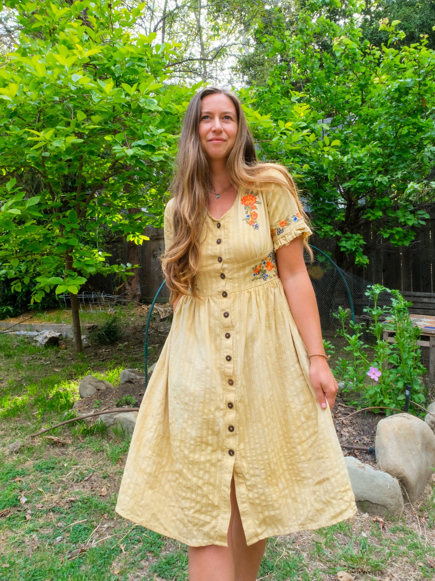 Pomegranate Embroidered Fitted Dress