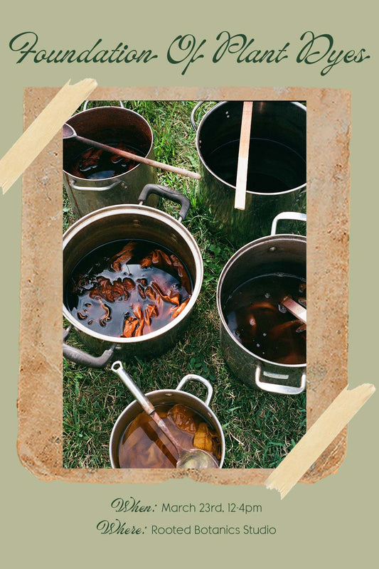 Foundation of Plant Dyes Workshop