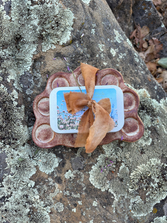 Watercolor Plant Paint Gift Set- Oat