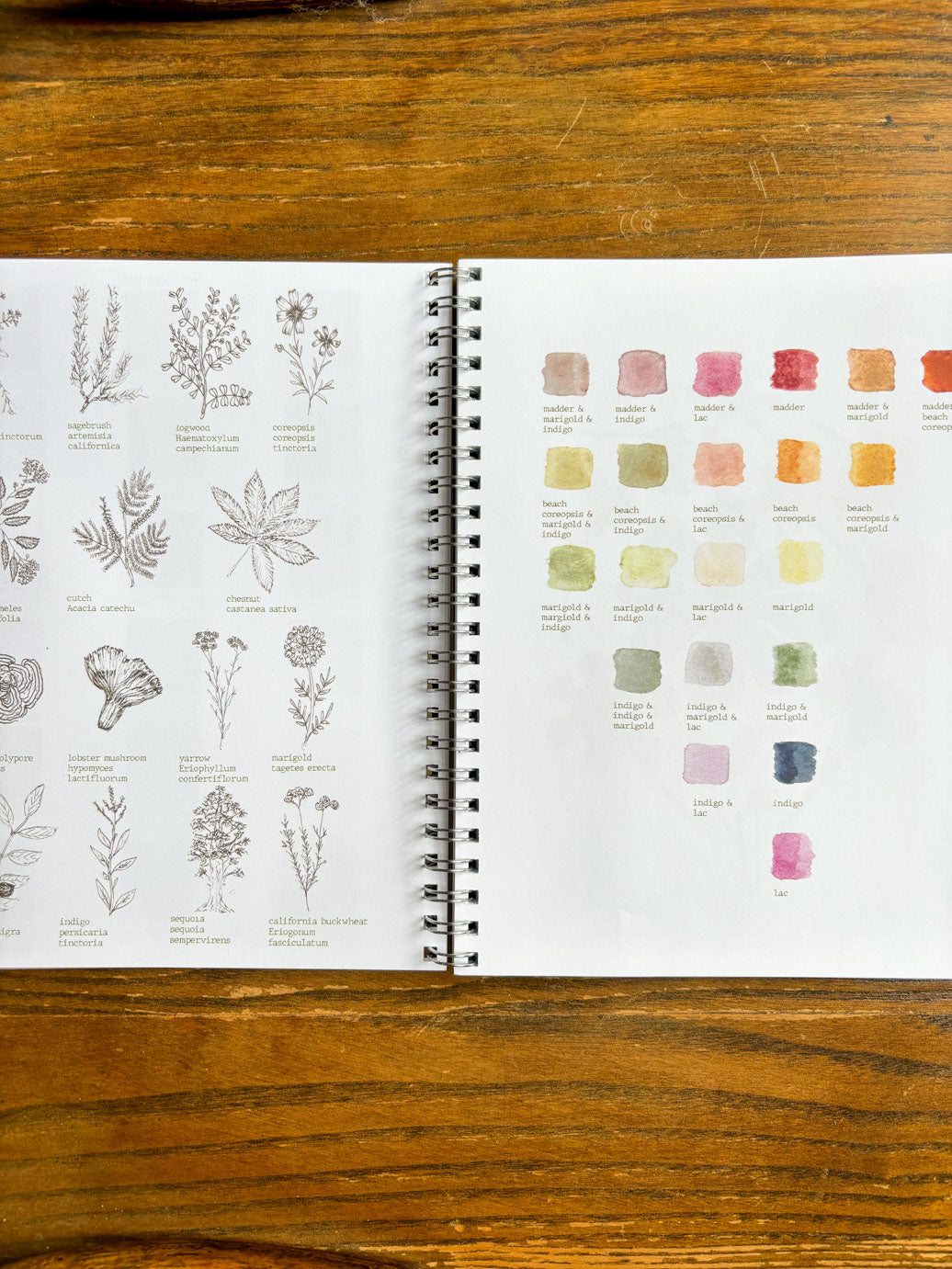 Plant Dyer's Field Journal