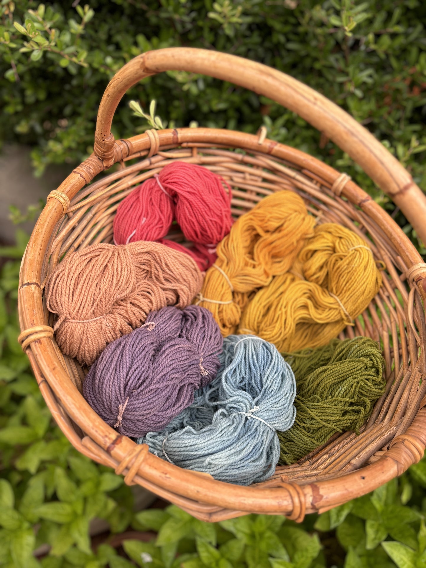 Plant Dyed Merino Wool Yarn