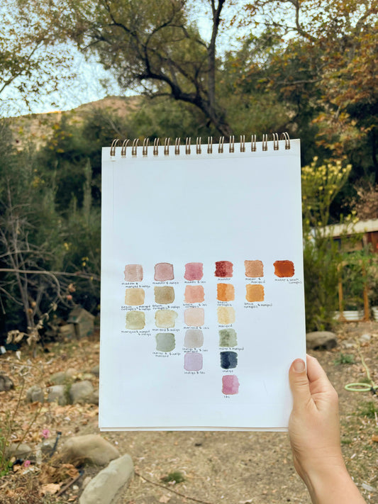 From Plant to Paint: A Conscious Approach to Creativity
