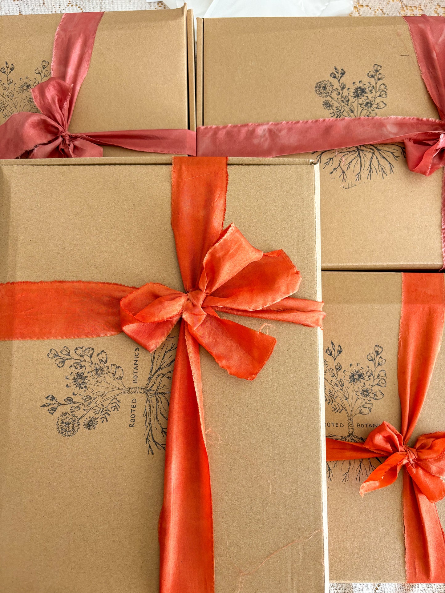 Plant Rainbow Subscription Club