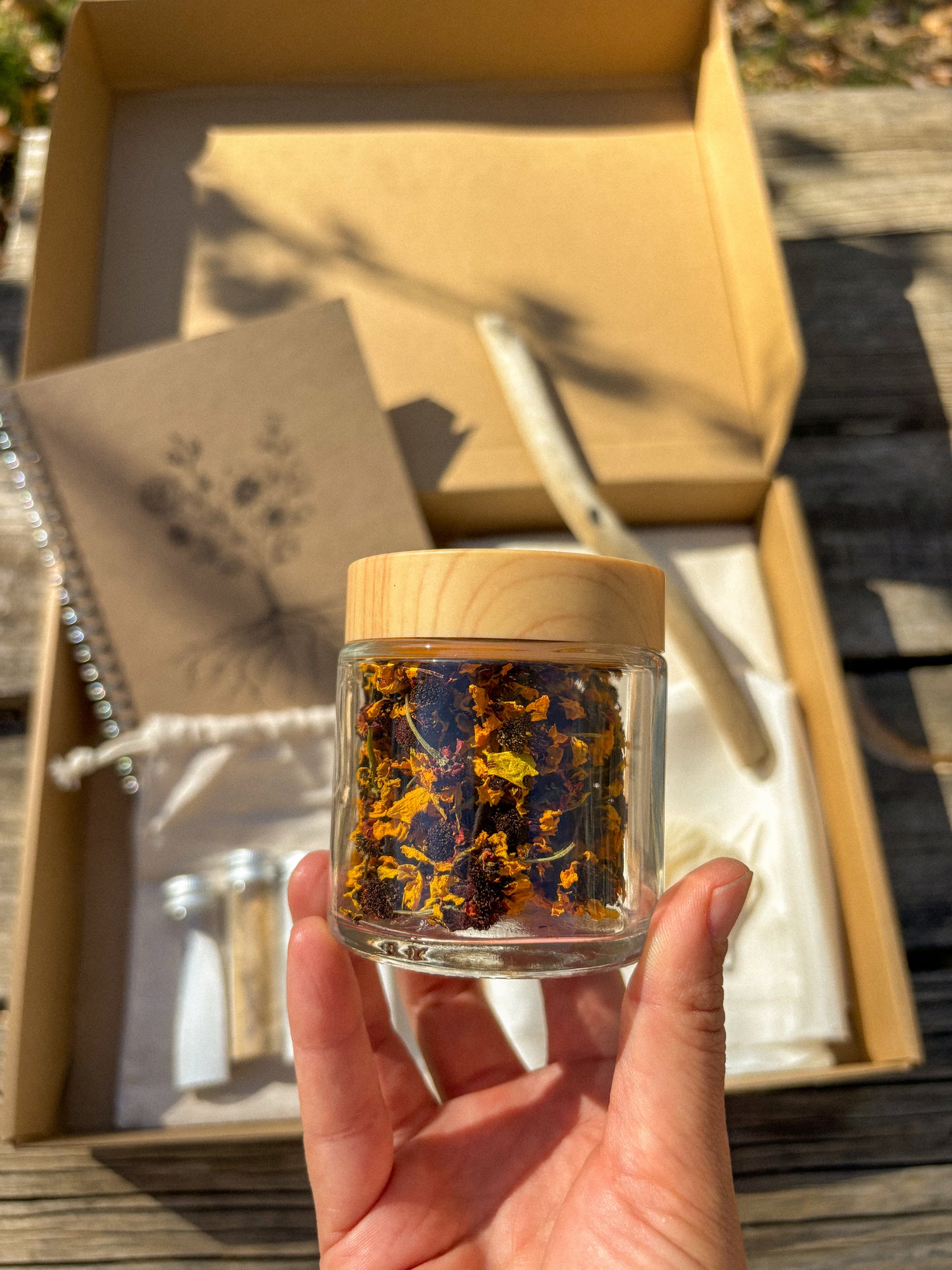 Plant Rainbow Subscription Club