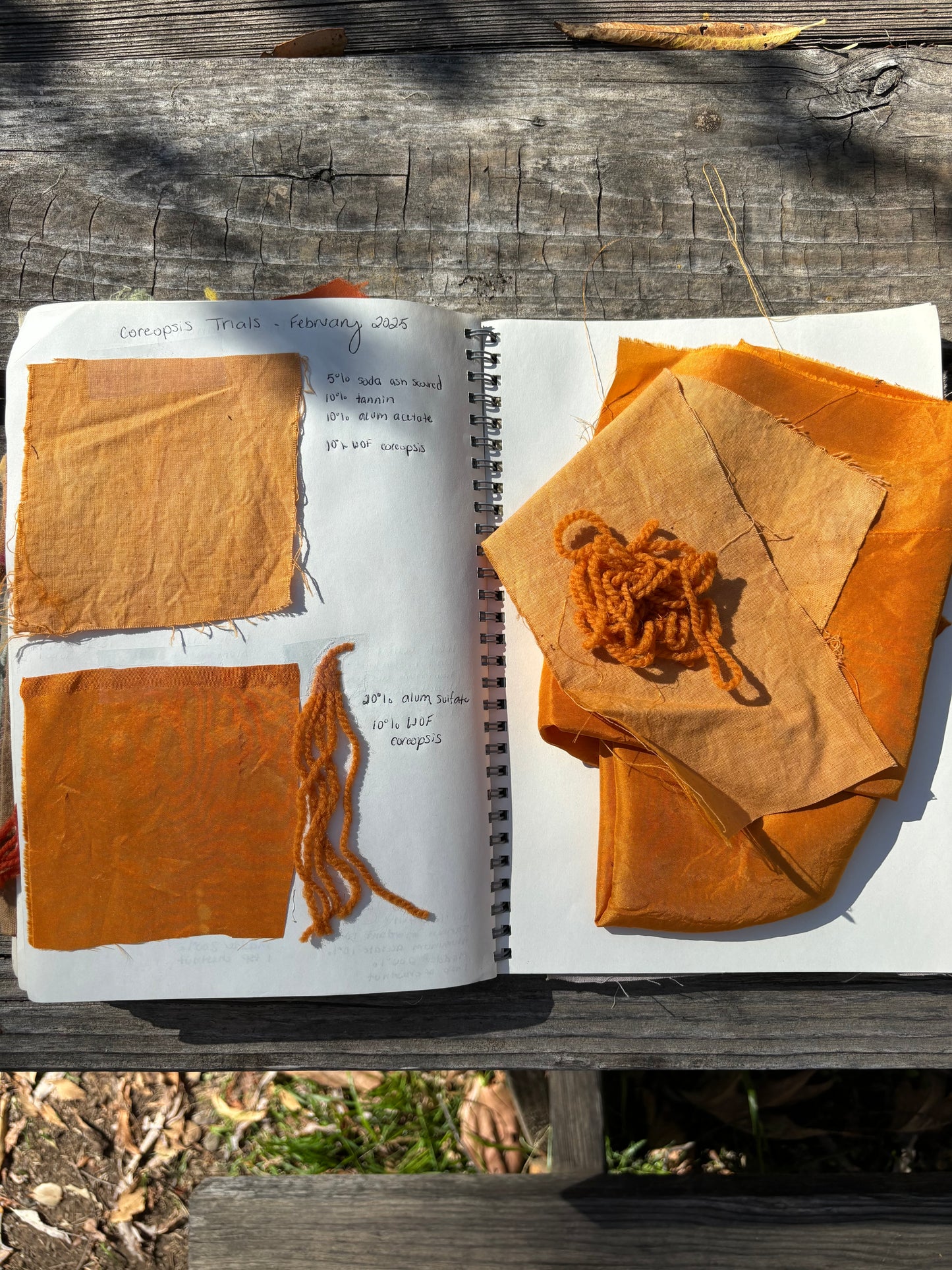 Plant Rainbow Subscription Club