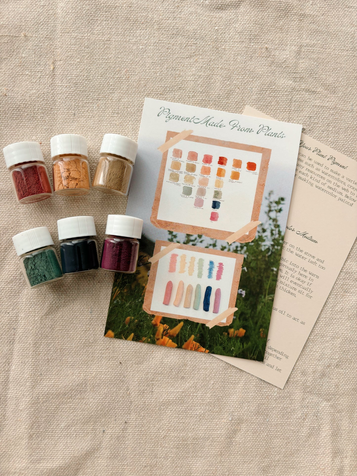 Plant Pigment Set