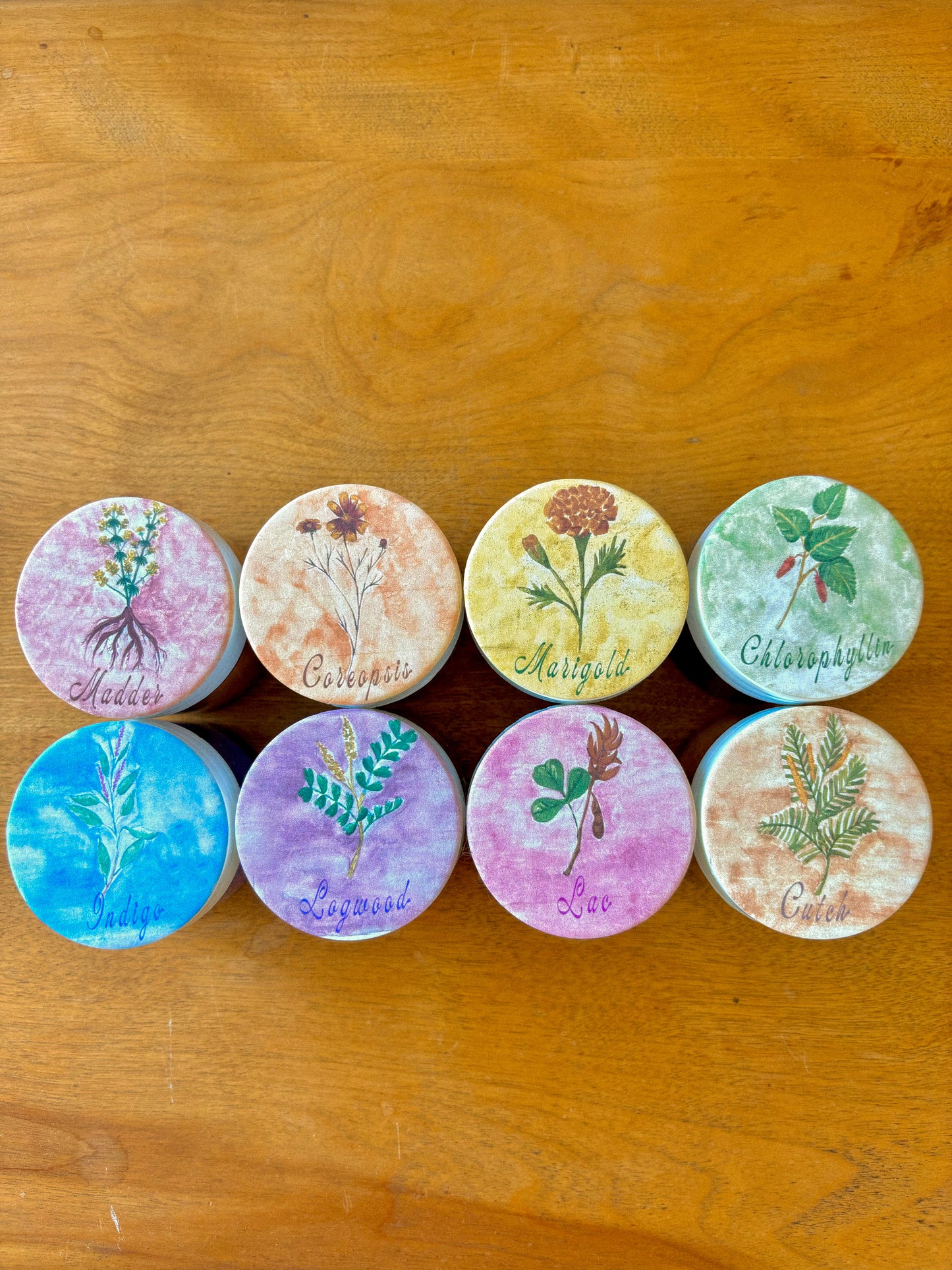 The Living Palette: Rediscovering Nature, Culture, and Color Through Plant Dyes