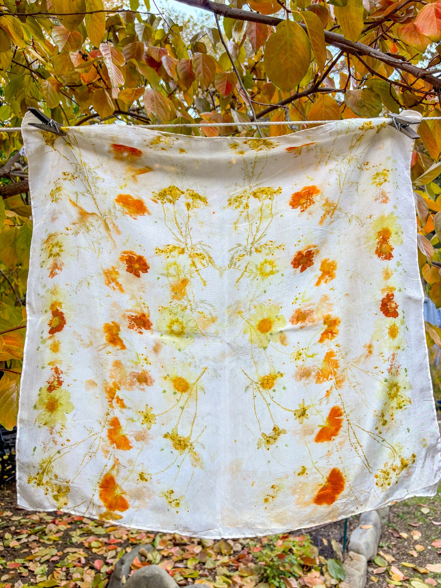 Plant Rainbow Subscription Club