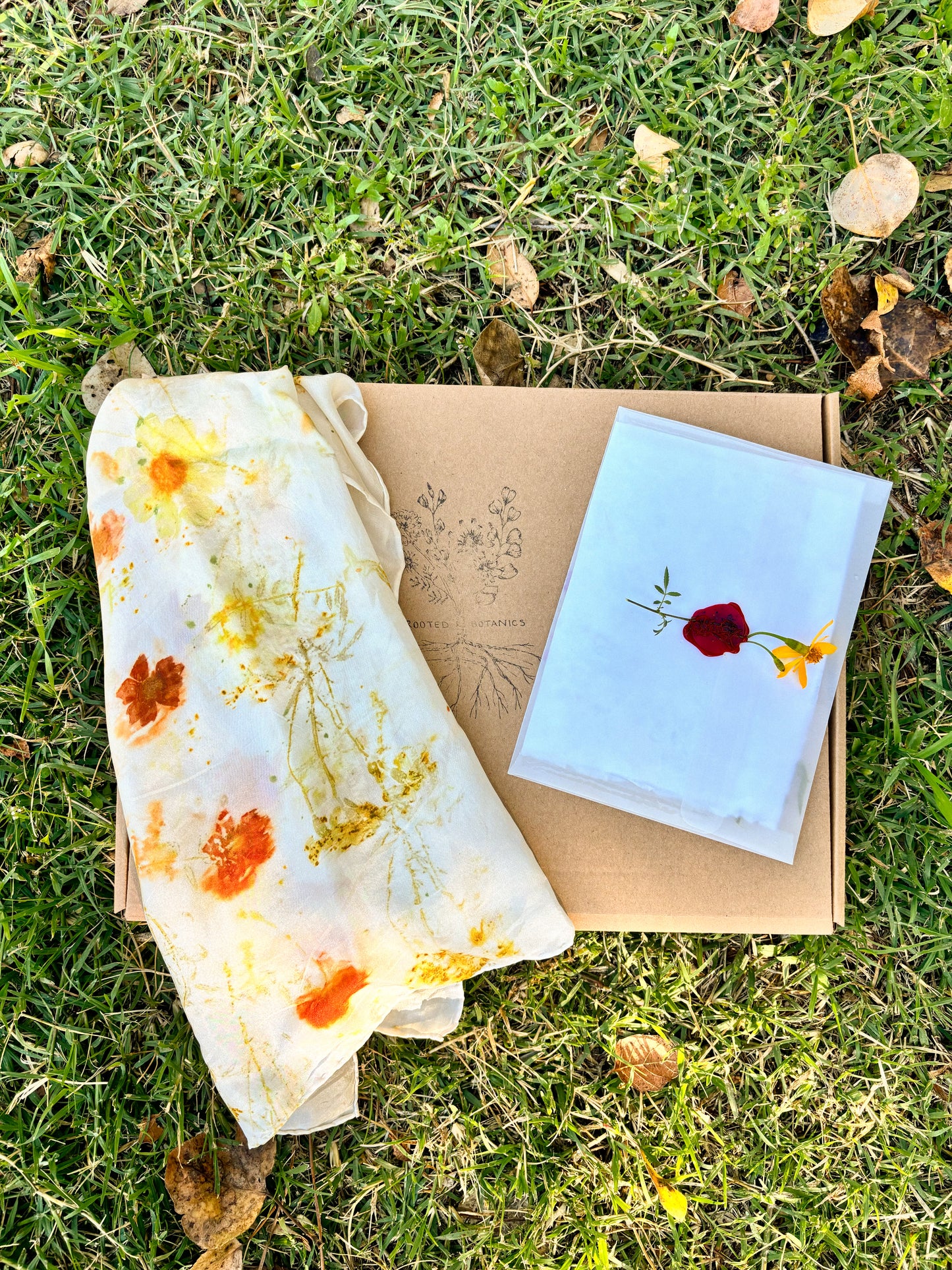 Plant Rainbow Subscription Club