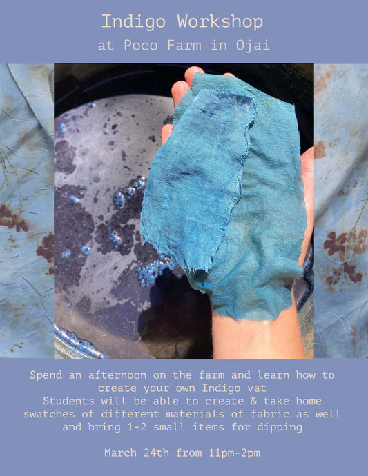 Indigo Workshop at Poco Farm