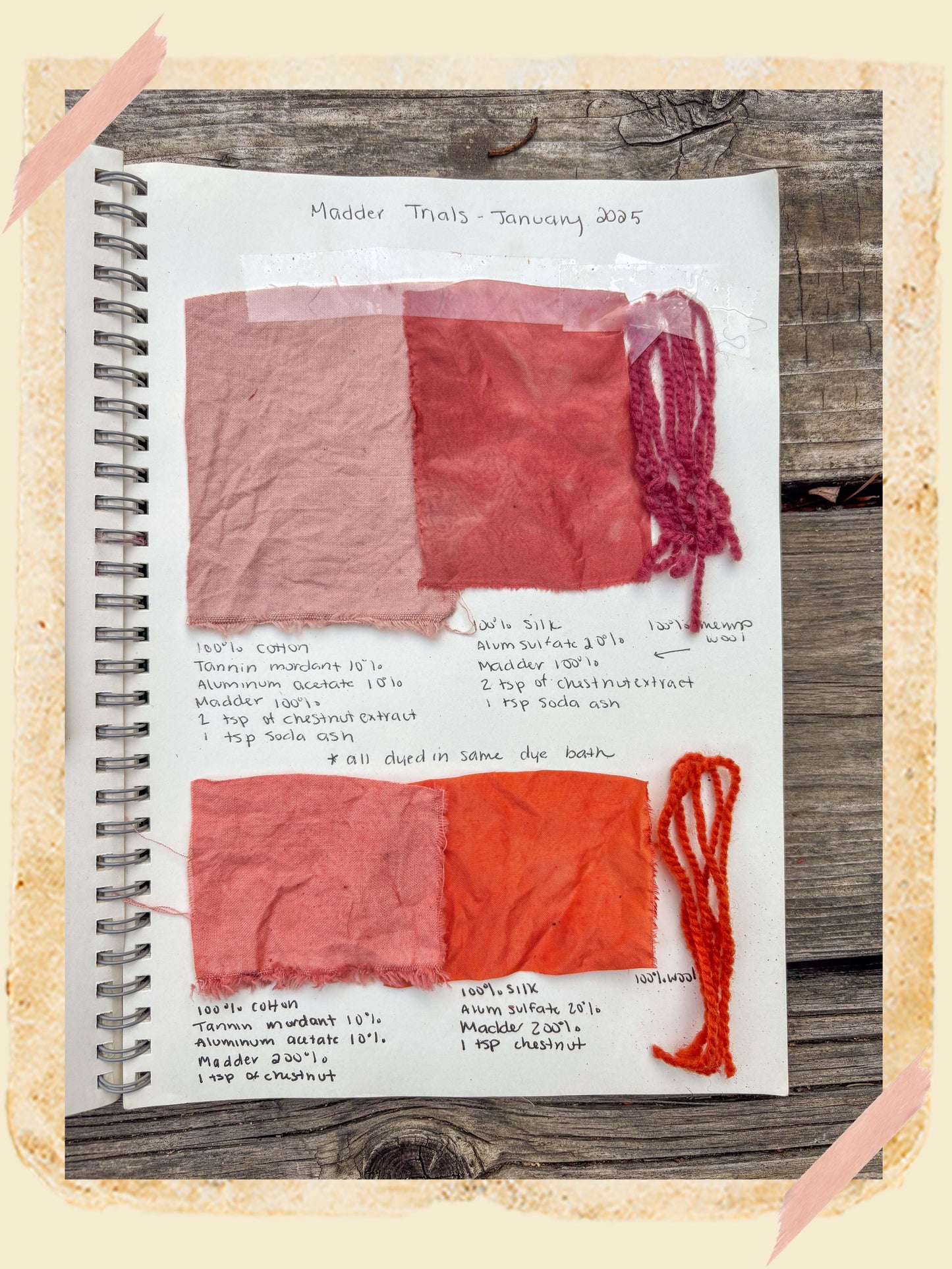 Plant Rainbow Subscription Club