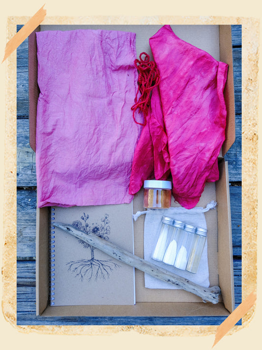 Plant Rainbow Subscription Club