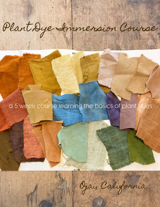 Plant Dye Immersion Course