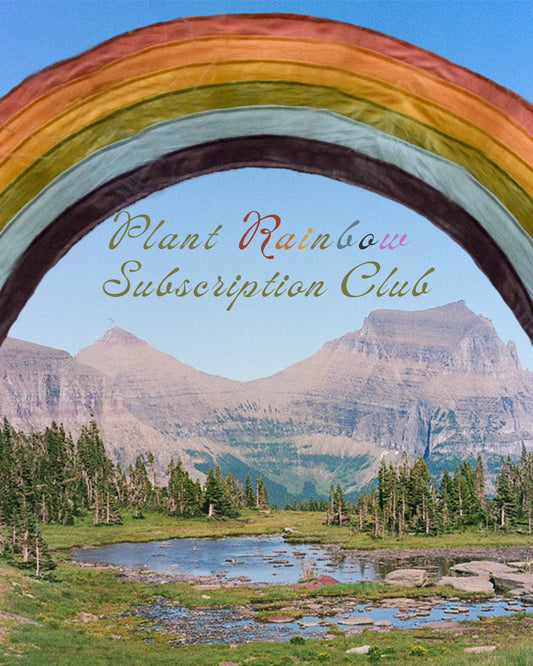 Plant Rainbow Subscription Club