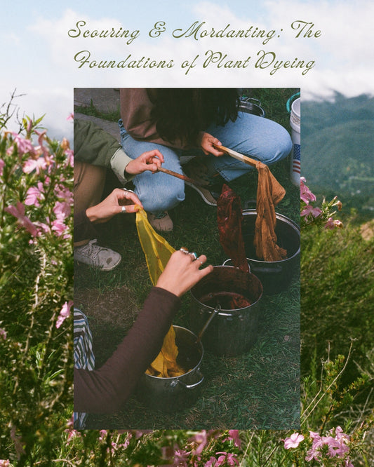 Scouring & Mordanting: The Foundation of Plant Dyeing