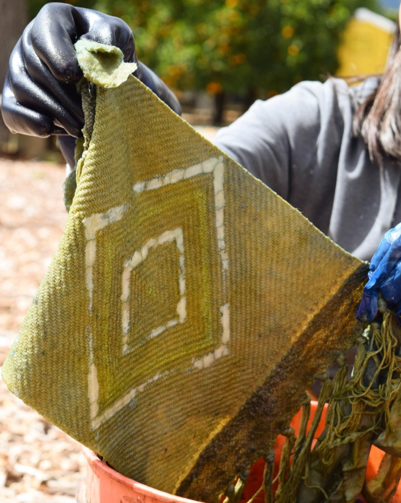 Plant Rainbow Subscription Club