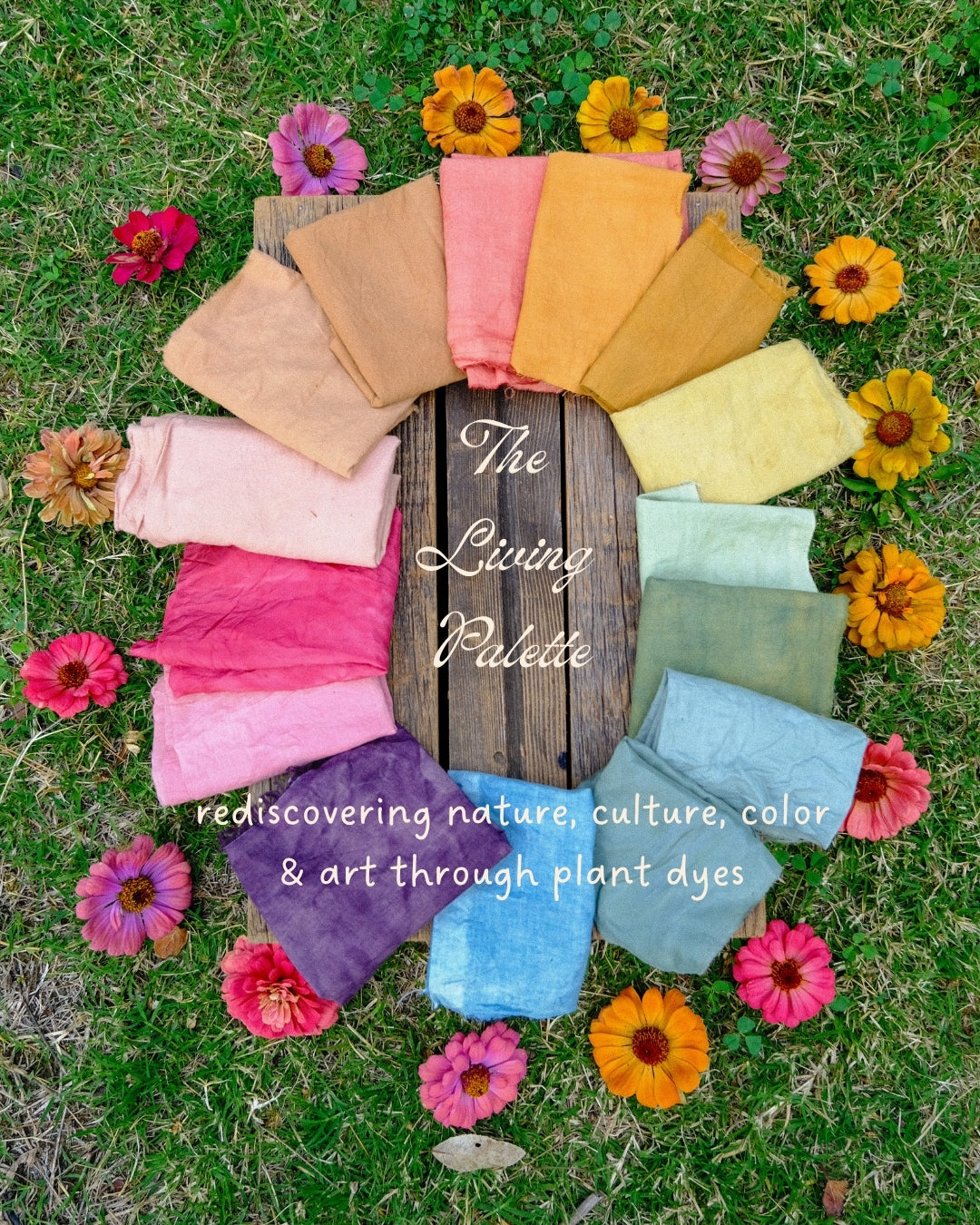 The Living Palette: Rediscovering Nature, Culture, and Color Through Plant Dyes