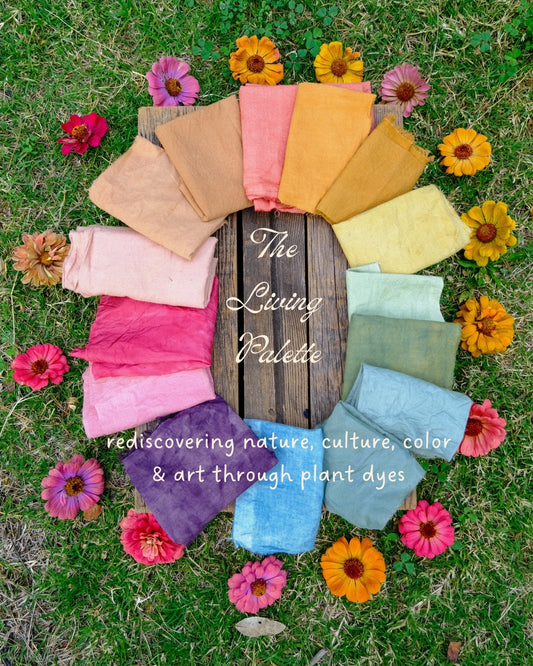 The Living Palette: Rediscovering Nature, Culture, and Color Through Plant Dyes