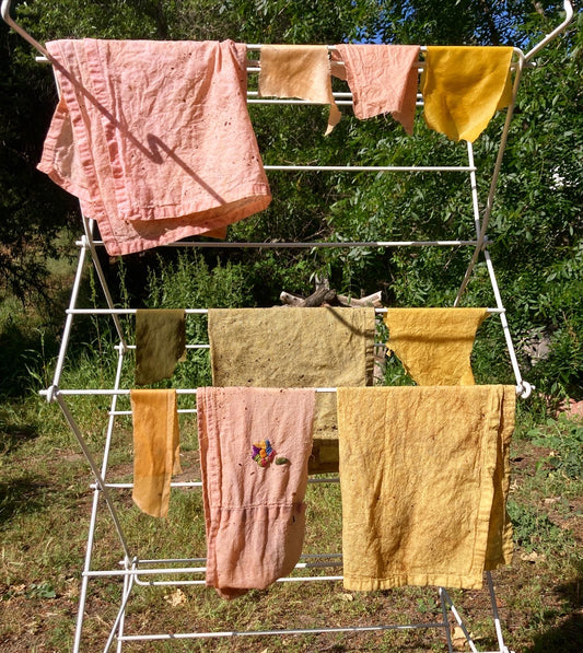 Mushroom Dye Workshop