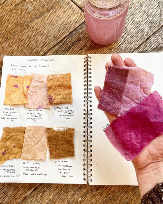 Mushroom Lecture & Dye Workshop