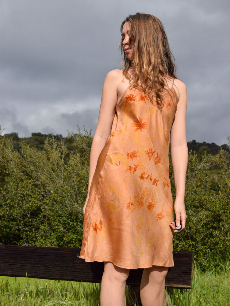 Toyon Silk Bundle Dyed Slip Dress