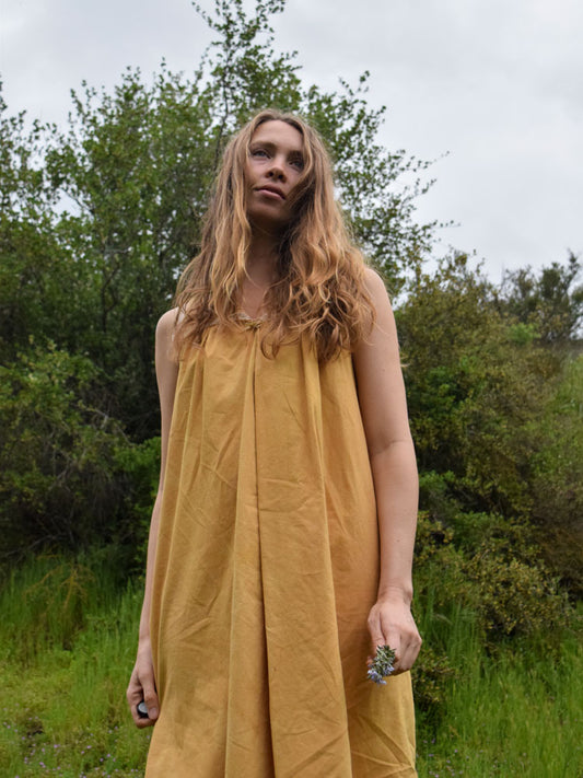 Toyon Lace Collar A-line Dress