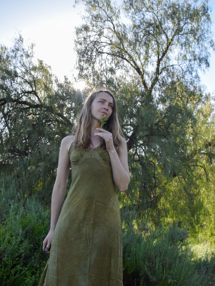 Marigold & Iron Silk Lace Slip Dress Rootedbotanics Marigold & Iron Silk Lace Slip Dress Rootedbotanics