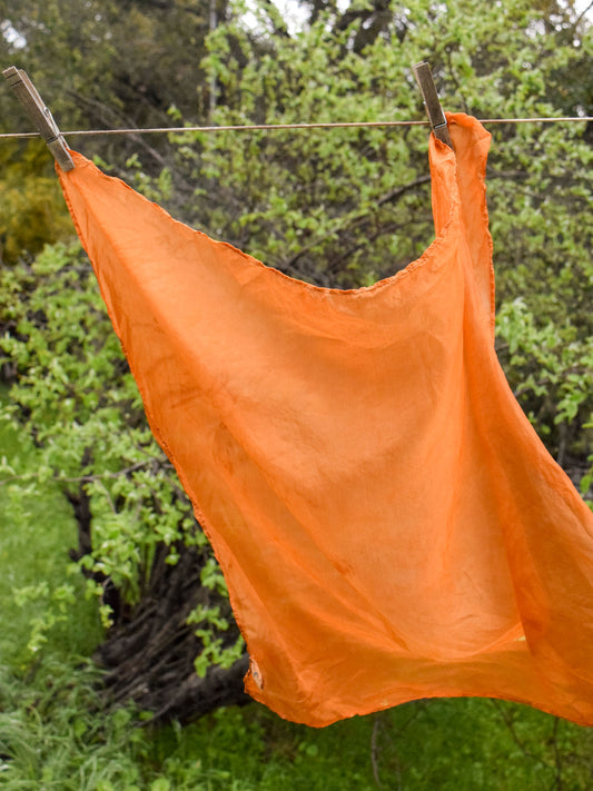 Beach Coreopsis Silk Scarf