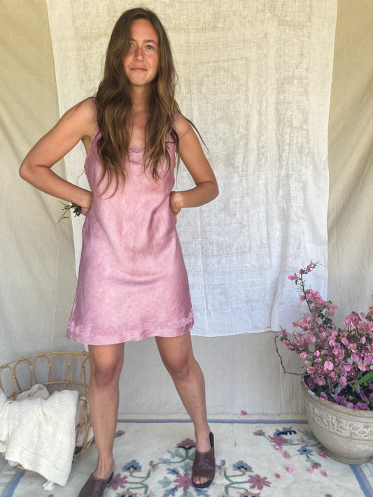 Schisandra Lace & Silk Slip Dress